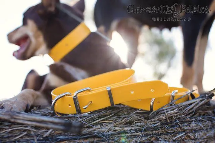 Dog Collar PVC 32mm x 70cm - Yellow