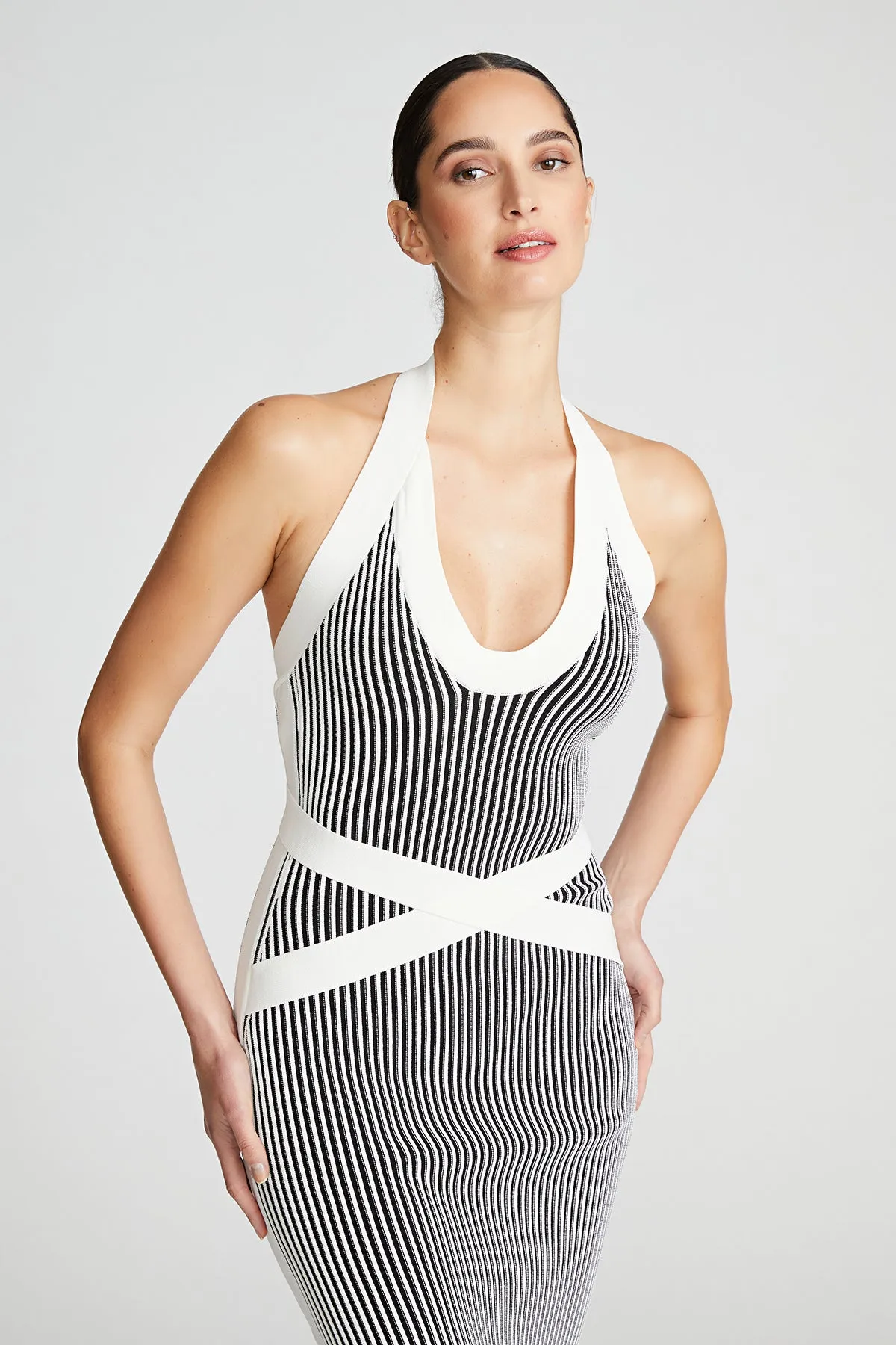 Karlen Dress In Matte Viscose