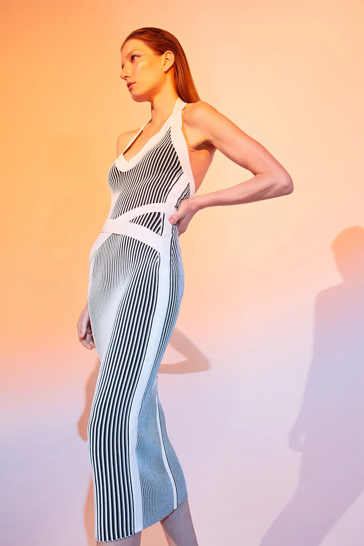 Karlen Dress In Matte Viscose