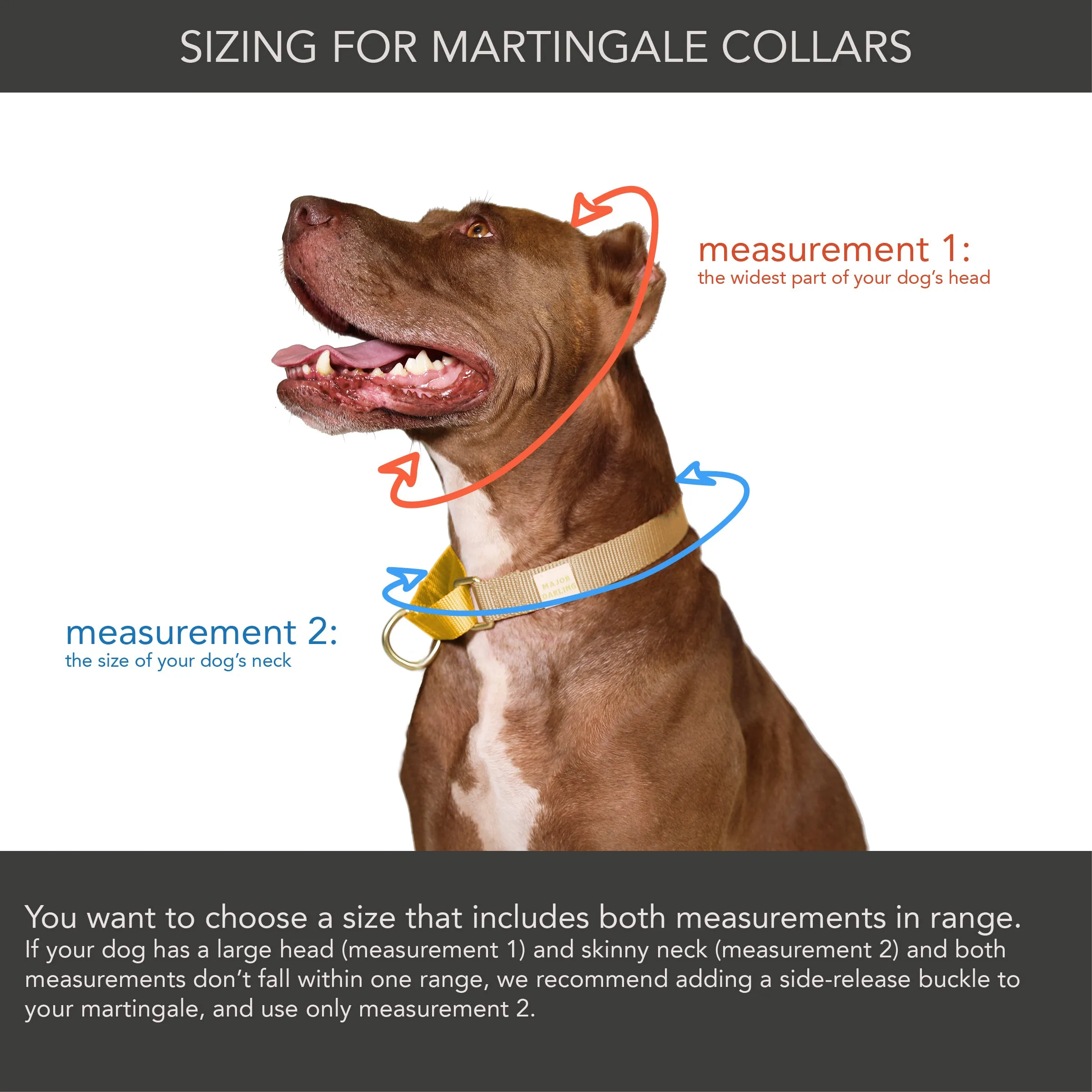 martingale collar / CUSTOM COLORS