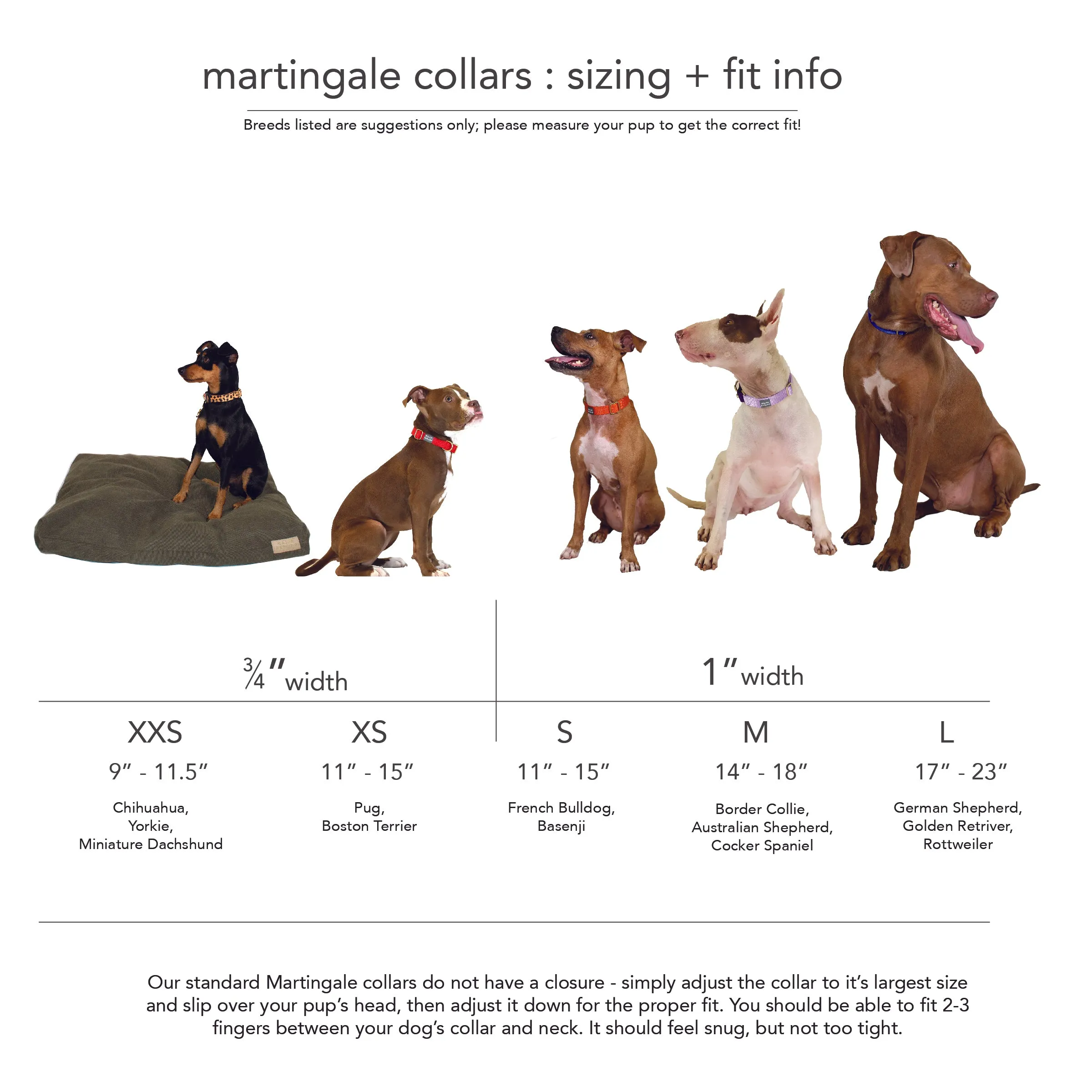 martingale collar / CUSTOM COLORS
